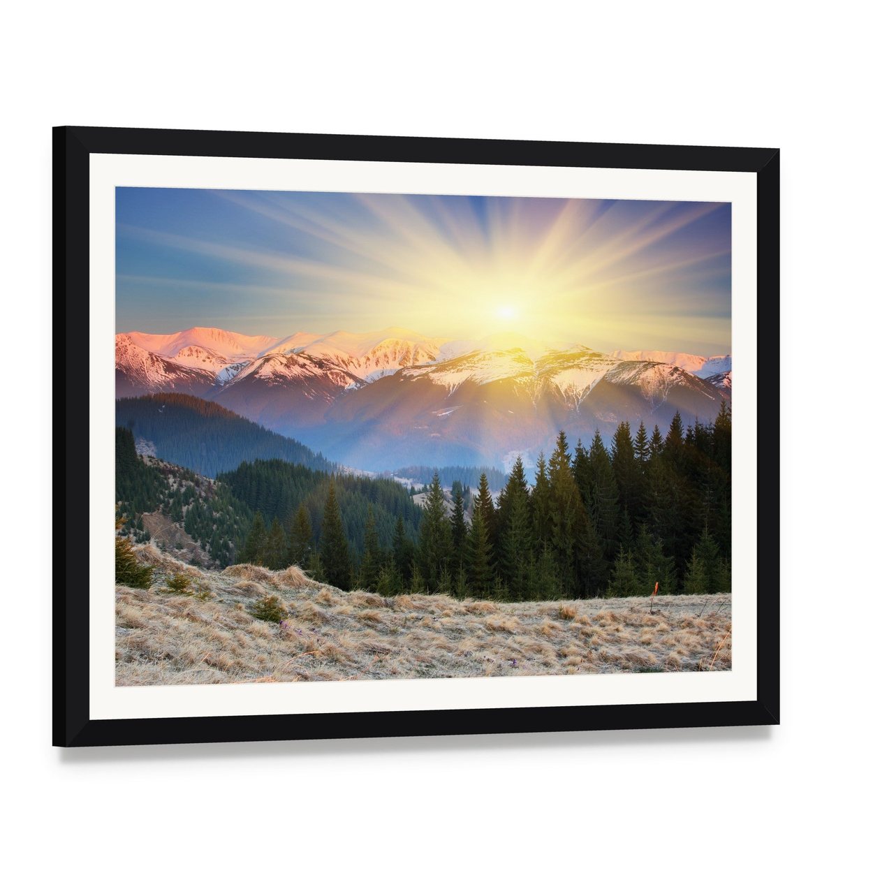 Snow-capped Mountain Sunrise with Pine Forest Canvas Wall Art, framed print with white mat and black frame, angled product view