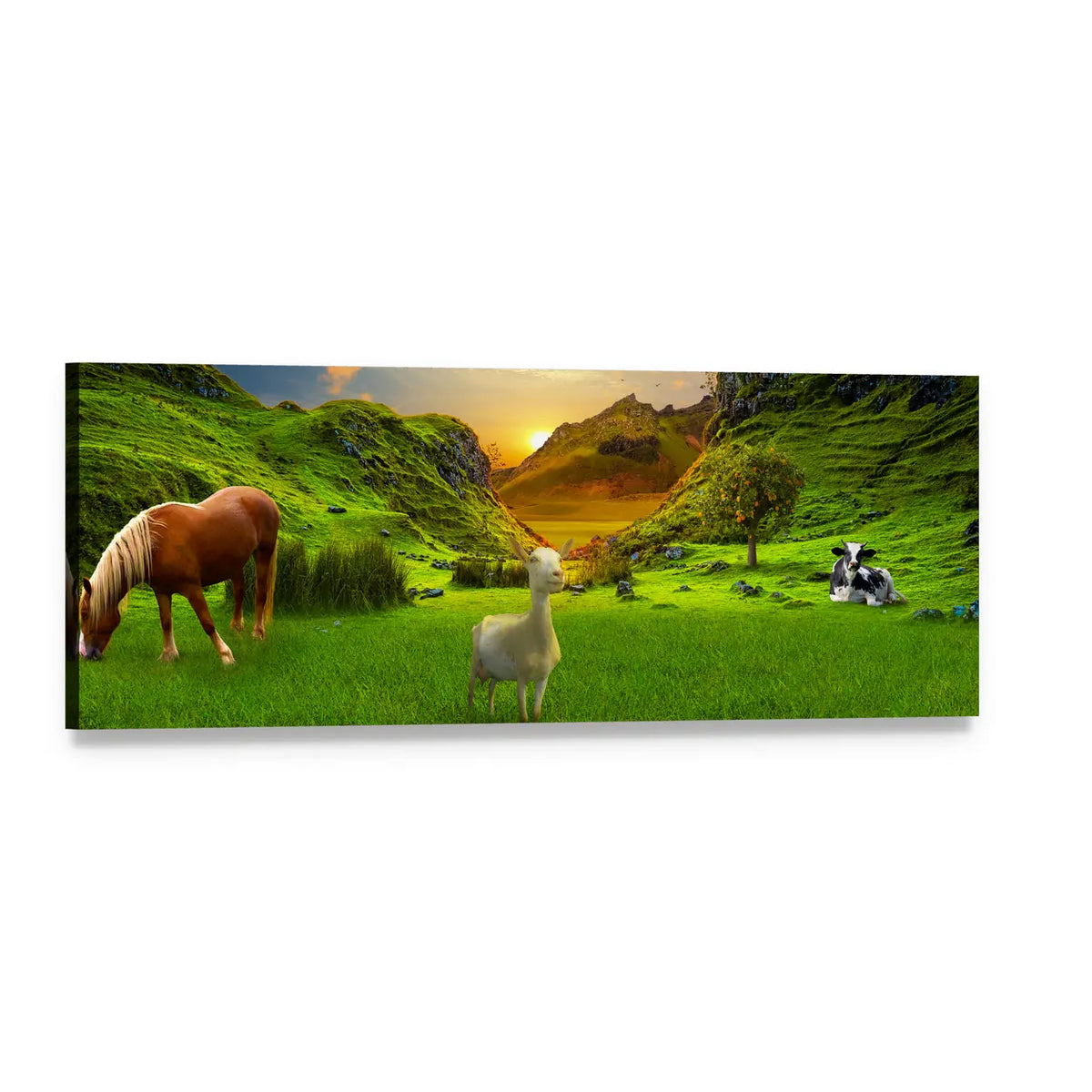Green Meadow with Horse, Goat, and Cow Panoramic Canvas Wall Art, single panel gallery wrapped canvas, angled product view