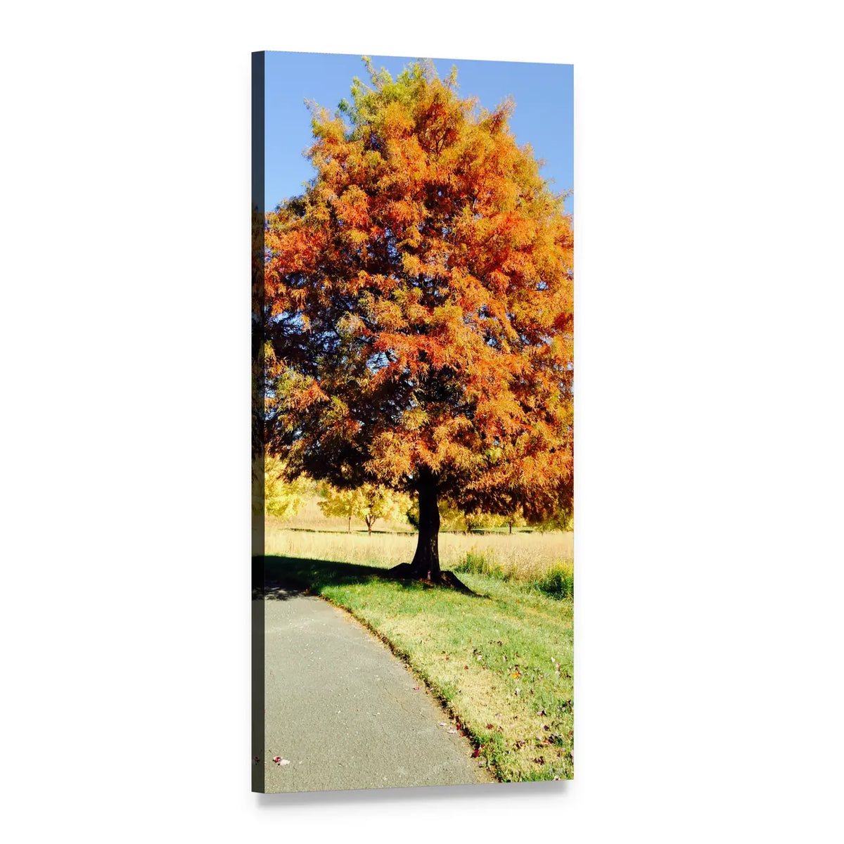 Autumn Tree and Curved Path Vertical Canvas Wall Art, 1 panel 1 Vertical layout gallery wrapped canvas set, angled product view