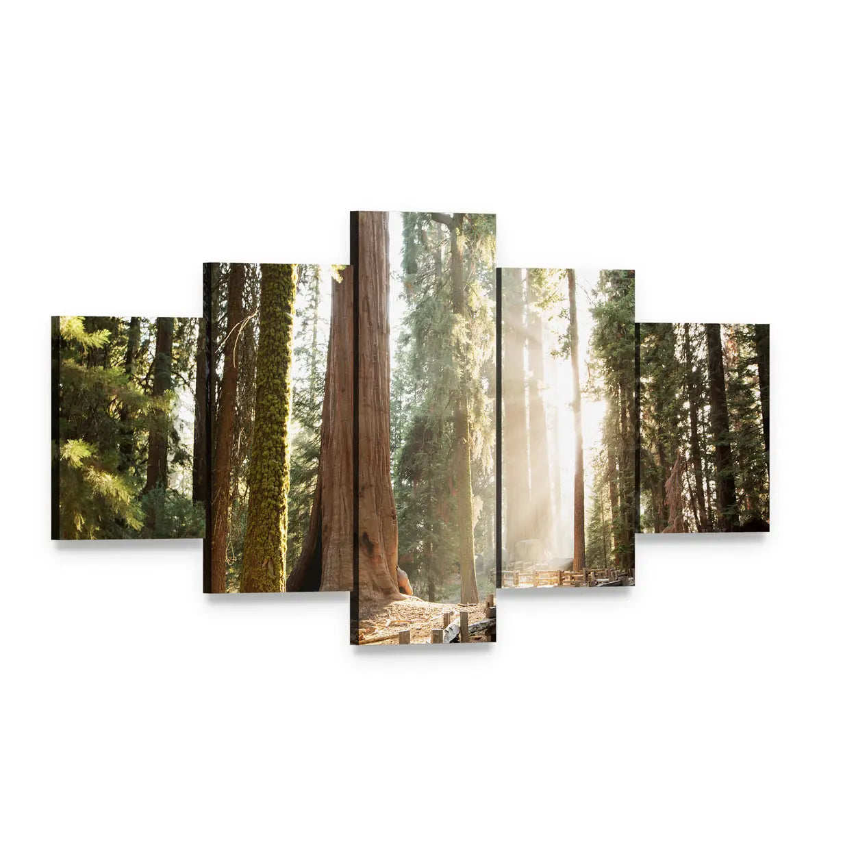Sequoia Forest Path in Sequoia National Park Canvas Wall Art, 5 panel 5 Star layout gallery wrapped canvas set, angled product view