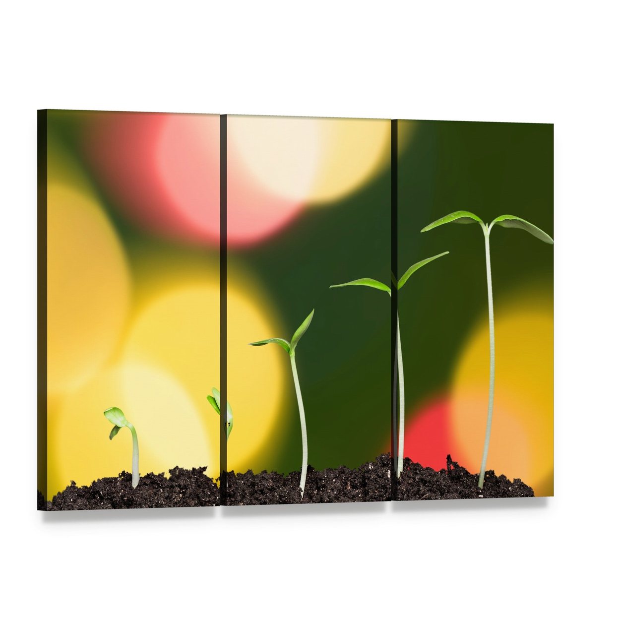 Four Seedlings on Bokeh Background Canvas Wall Art, 3 panel 3 Horizontal layout gallery wrapped canvas set, angled product view