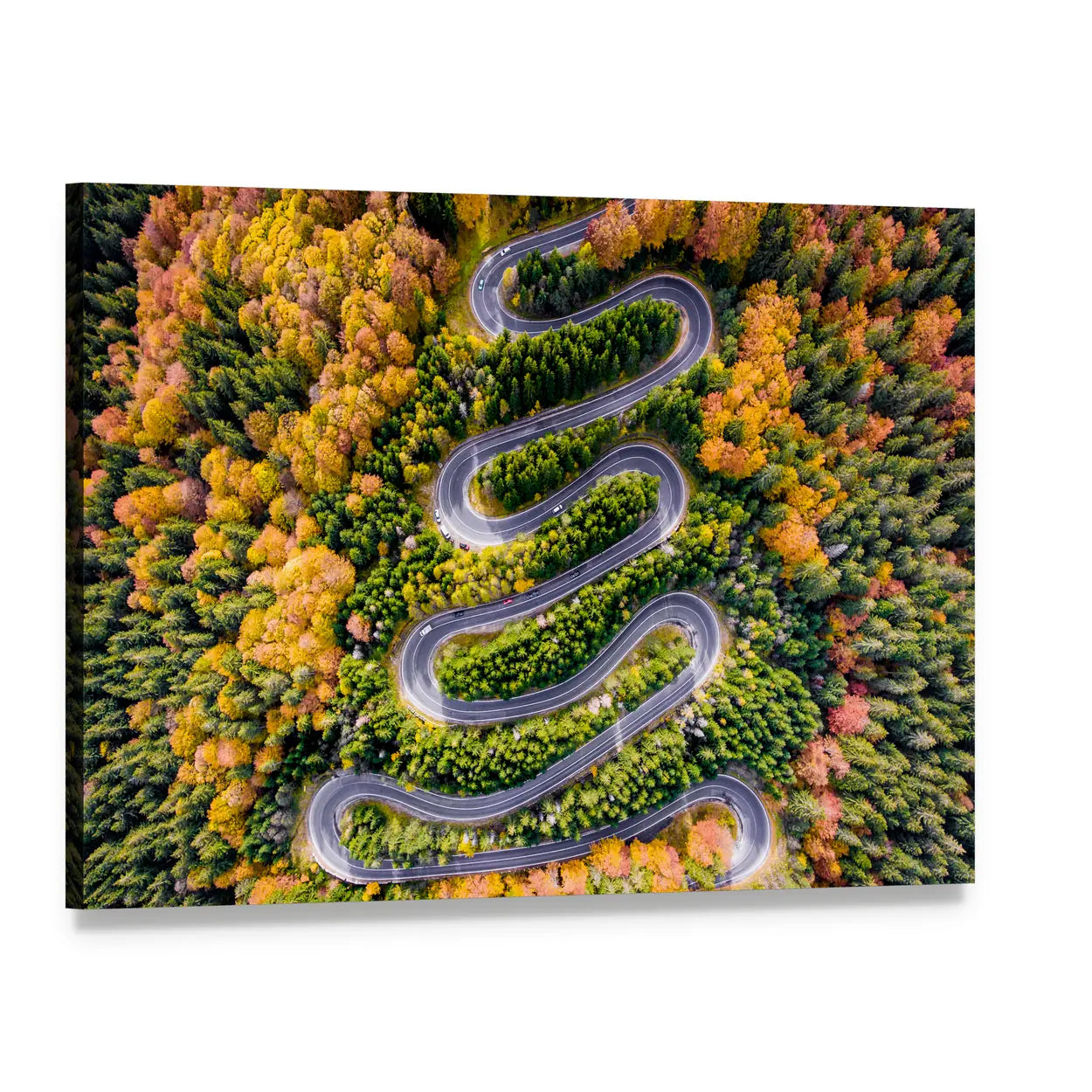 Autumn Winding Road In The Forest Canvas Wall Art, single panel gallery wrapped canvas, angled product view