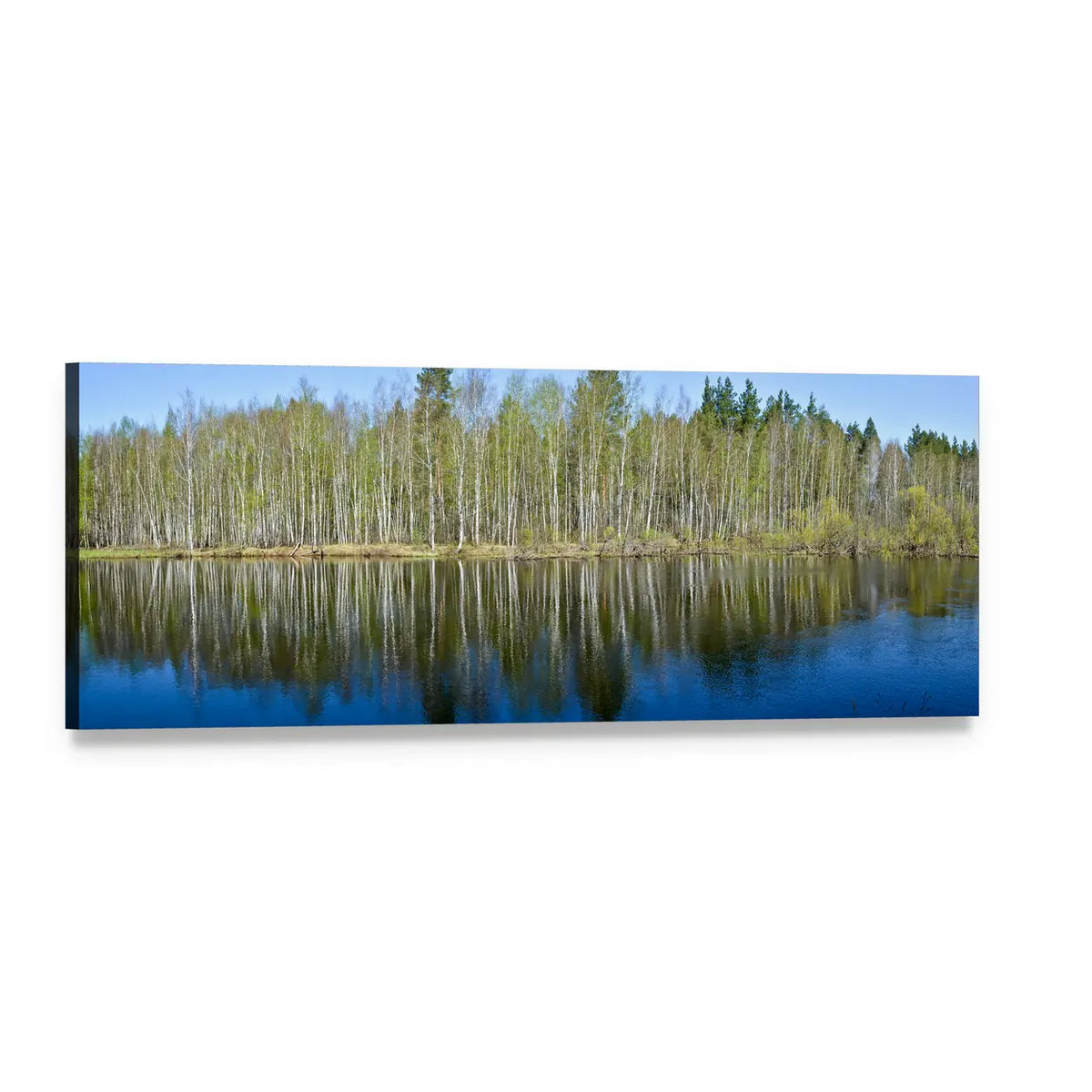 Spring Birch Forest Lake Reflection Panoramic Canvas Wall Art, single panel gallery wrapped canvas, angled product view