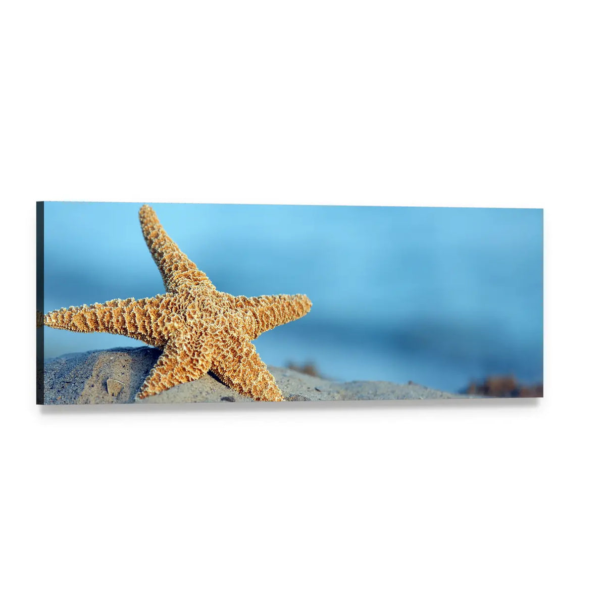 Starfish on Sandy Beach Panoramic Canvas Wall Art, single panel gallery wrapped canvas, angled product view
