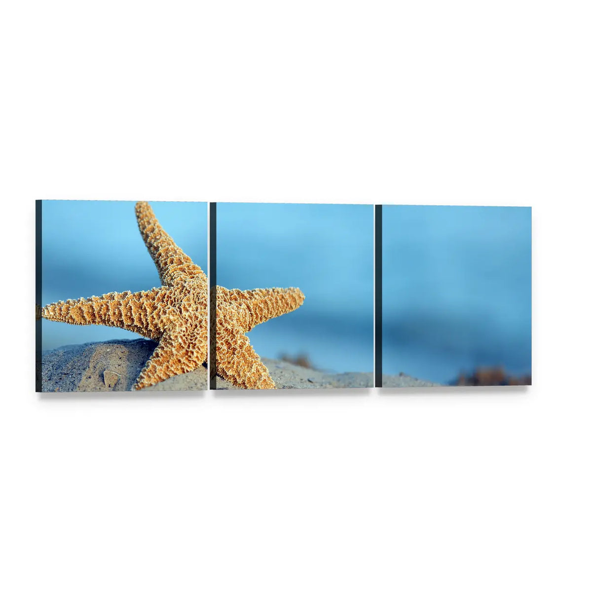 Starfish on Sandy Beach Panoramic Canvas Wall Art, 3 panel 3 Piece layout gallery wrapped canvas set, angled product view