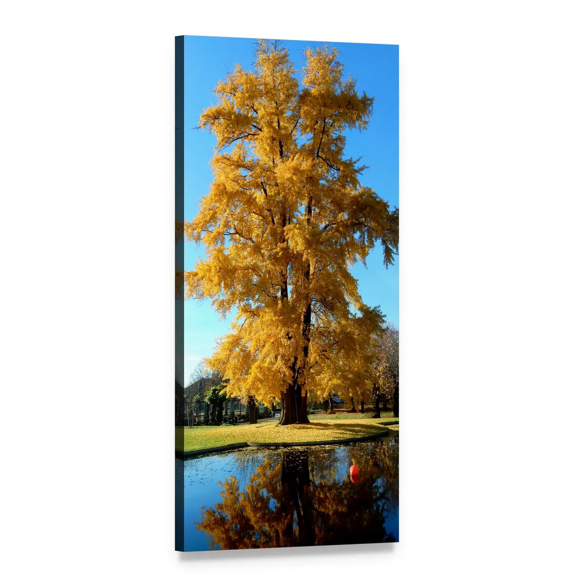 Golden Autumn Tree Over Calm Water Vertical Canvas Wall Art, 1 panel 1 Vertical layout gallery wrapped canvas set, angled product view