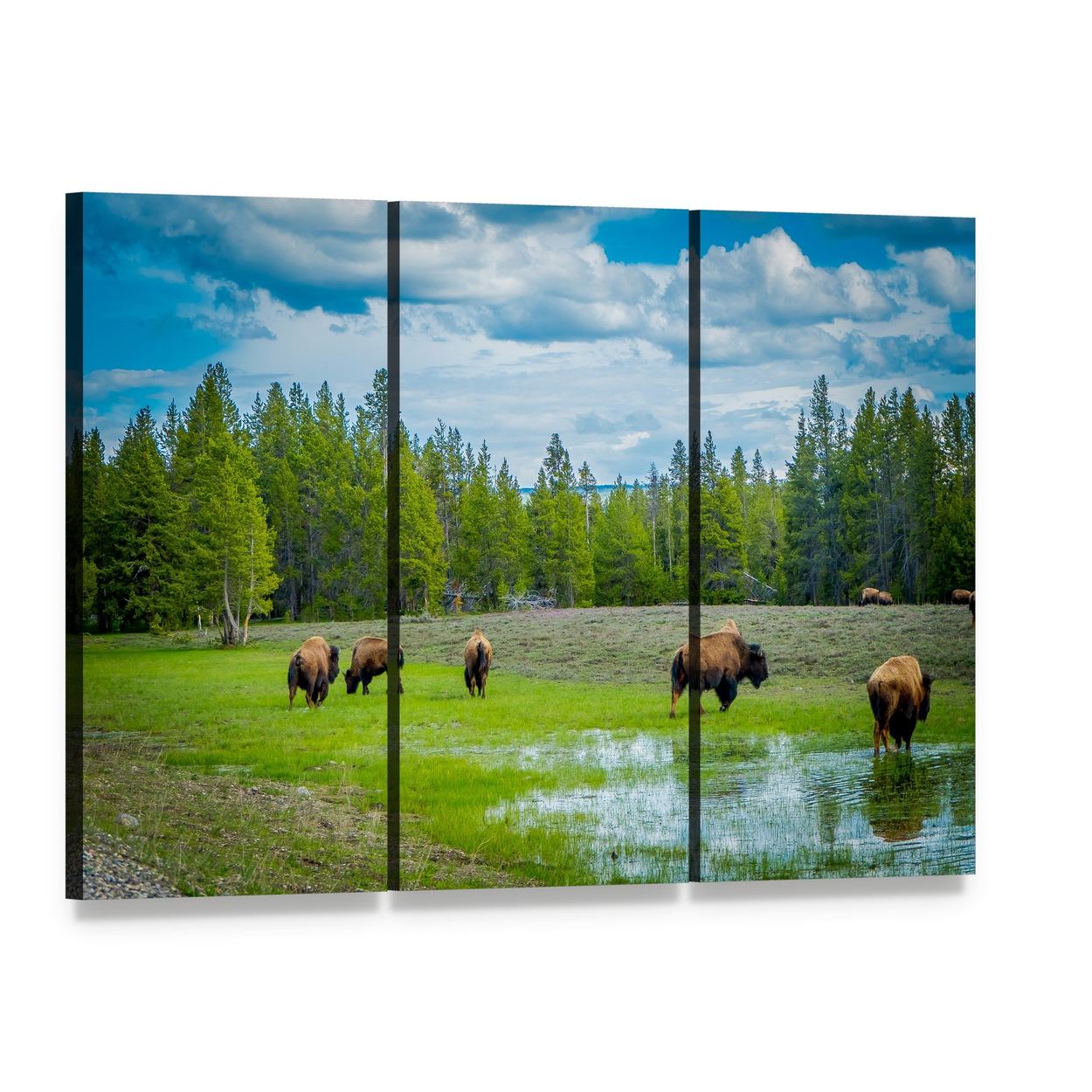 Herd of Bison in Grassy Field Canvas Wall Art, 3 panel 3 Horizontal layout gallery wrapped canvas set, angled product view
