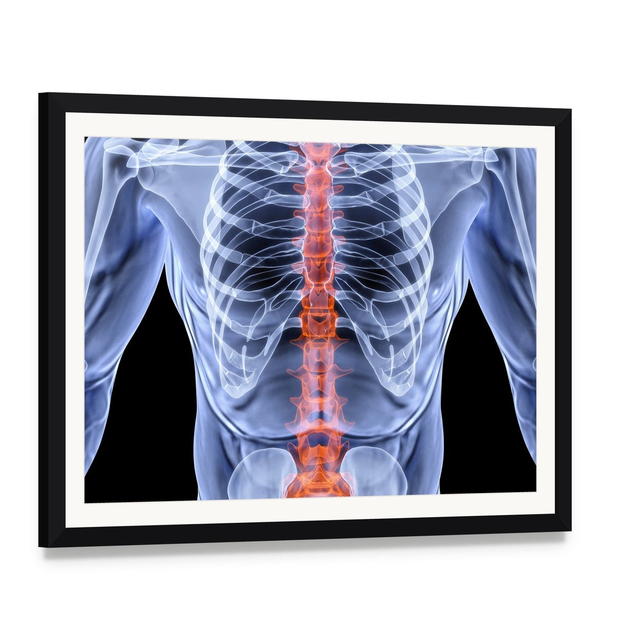 X-ray Male Spine with Glowing Red Vertebrae Canvas Wall Art, framed print with white mat and black frame, angled product view