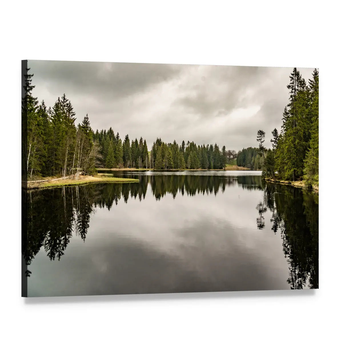 Lake Reflection with Evergreen Forest Canvas Wall Art, single panel gallery wrapped canvas, angled product view