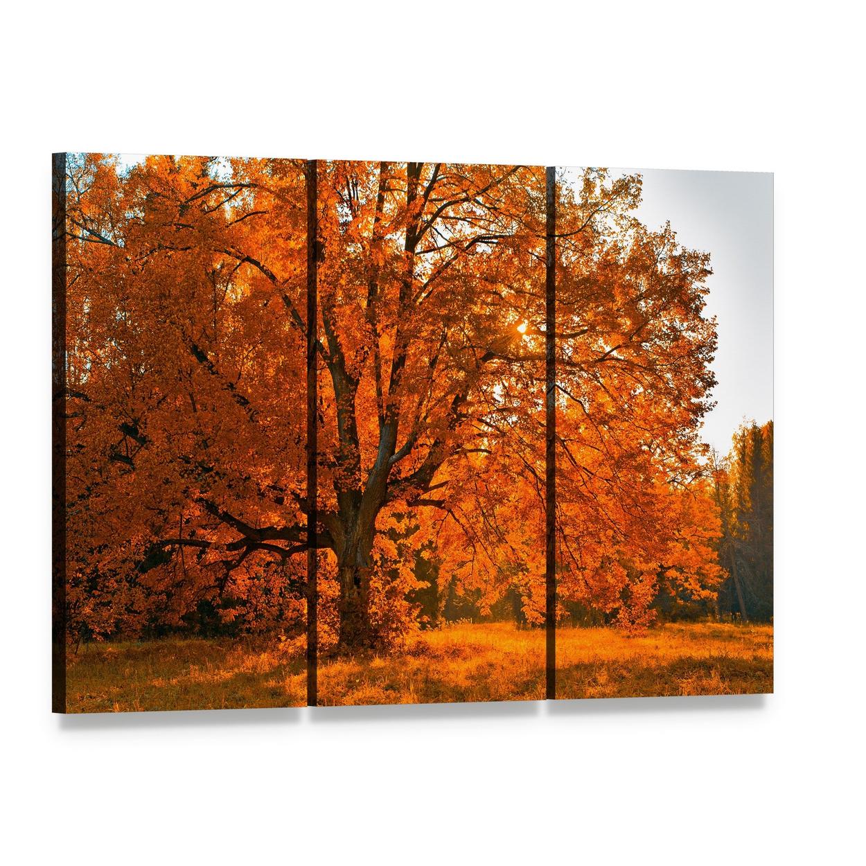 Yellow Leaves in Autumn Canvas Wall Art, 3 panel 3 Horizontal layout gallery wrapped canvas set, angled product view