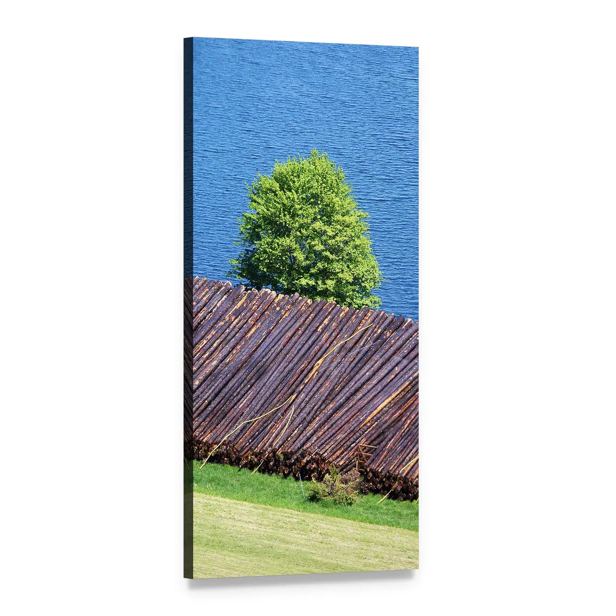 Lone Tree and Log Pile at Lake Vertical Canvas Wall Art, 1 panel 1 Vertical layout gallery wrapped canvas set, angled product view