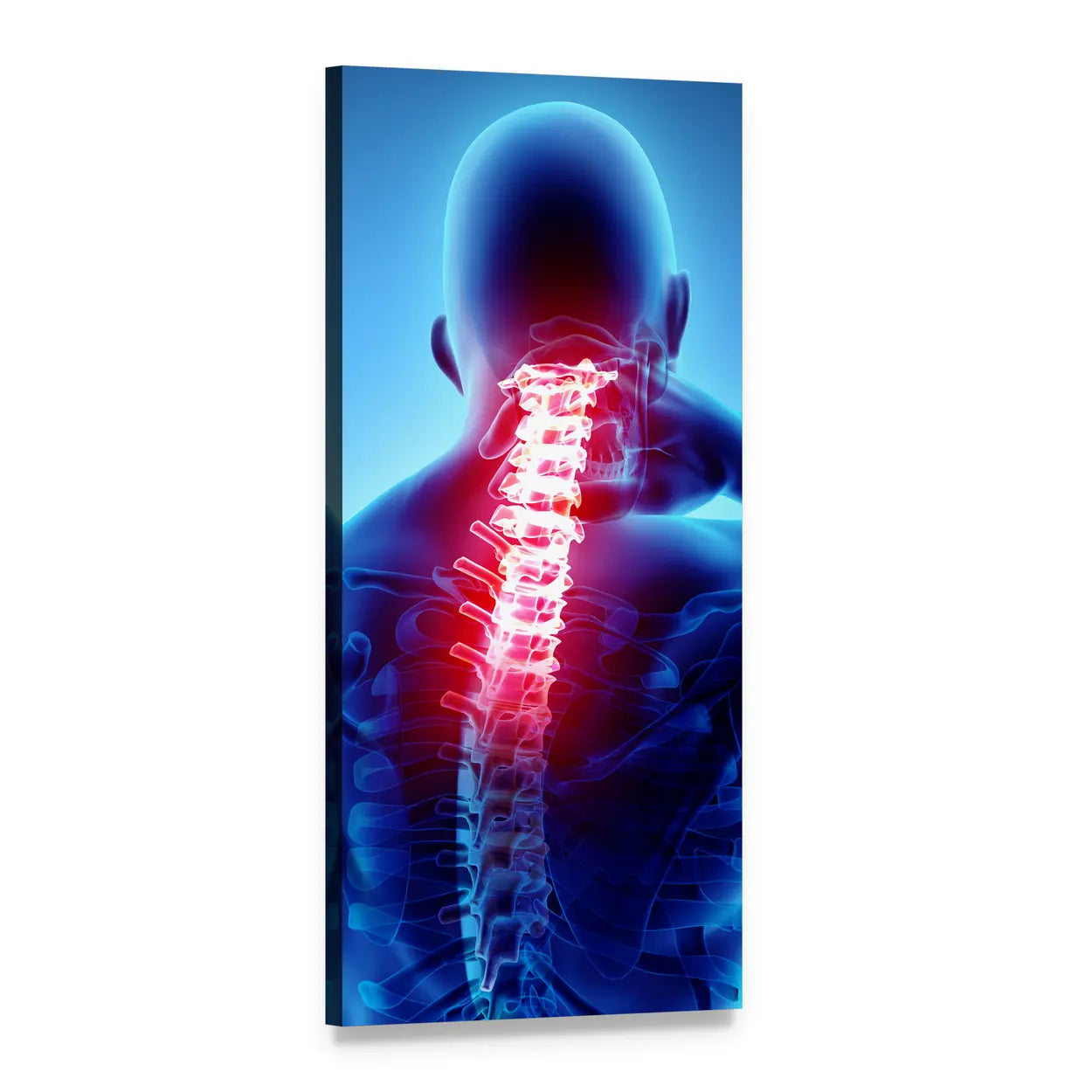 Cervical Spine X-ray Illustration Vertical Canvas Wall Art, 1 panel 1 Vertical layout gallery wrapped canvas set, angled product view
