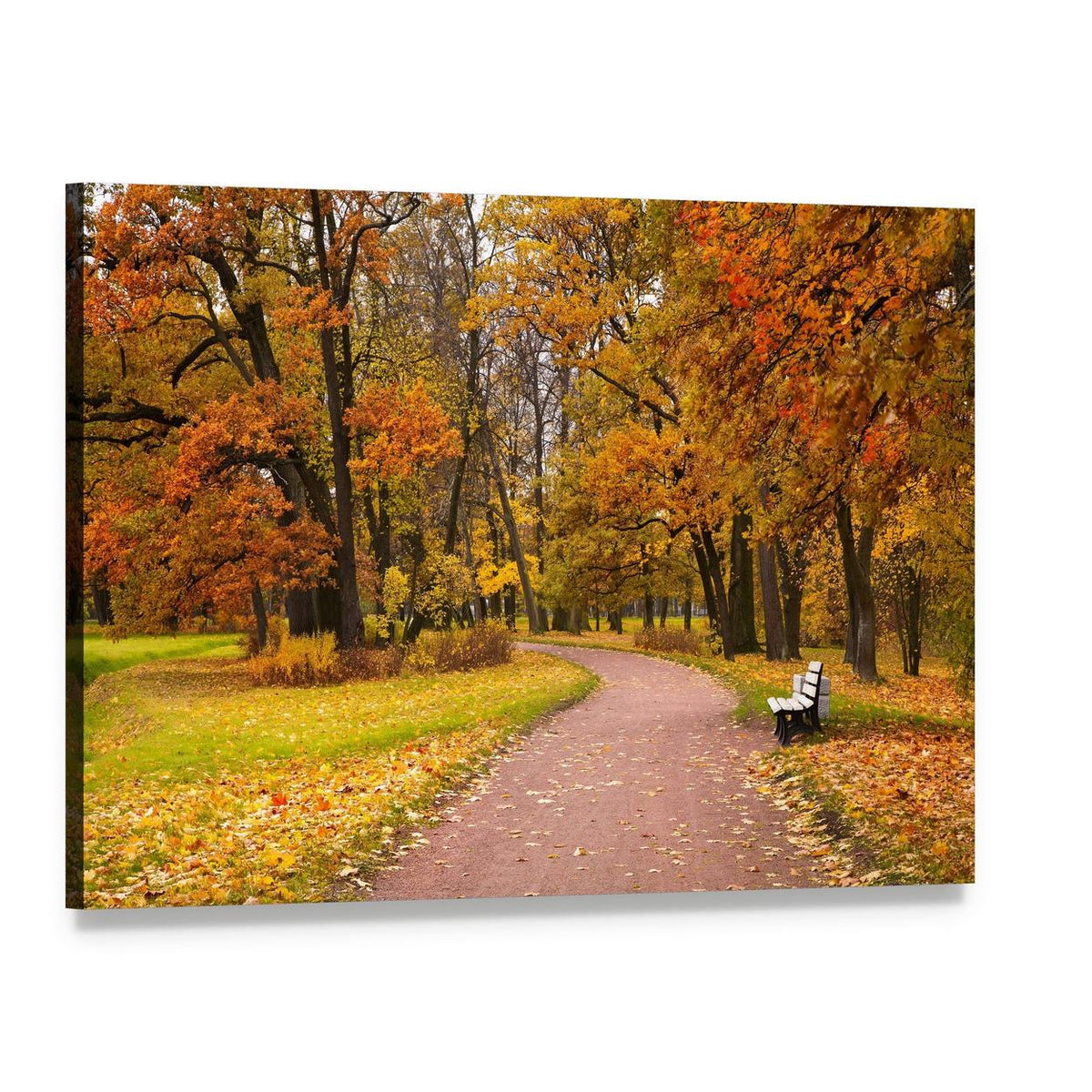 Pathway in Autumn Forest Canvas Wall Art, single panel gallery wrapped canvas, angled product view