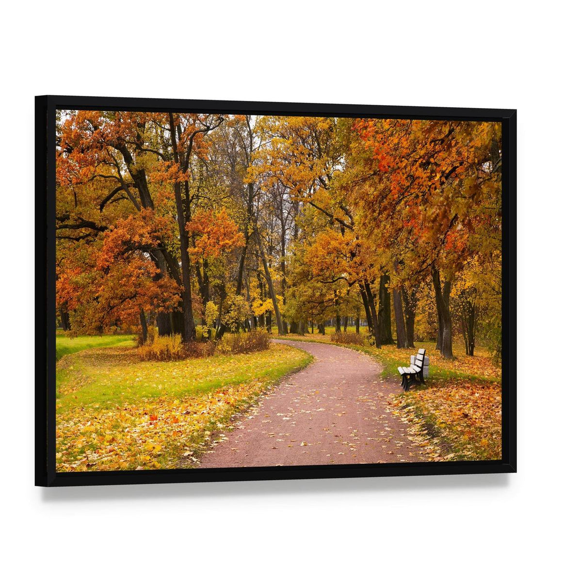 Pathway in Autumn Forest Canvas Wall Art, framed canvas in a black floater frame, angled product view
