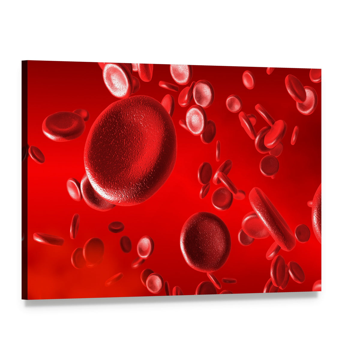 Microscopic Red Blood Cells Close-up Canvas Wall Art, single panel gallery wrapped canvas, angled product view