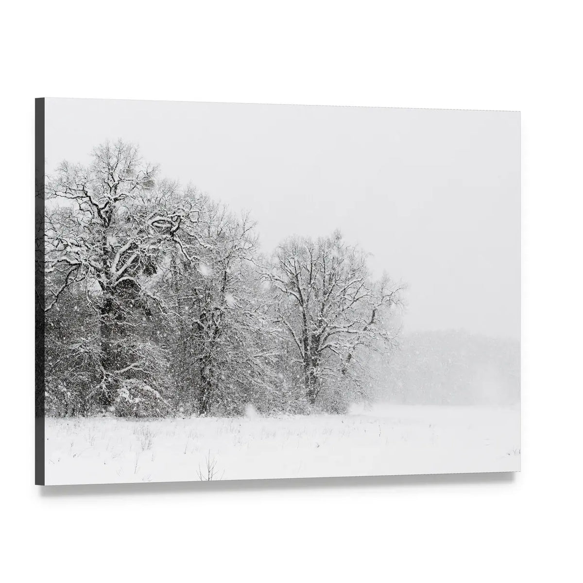 Minimalist Snowy Trees Canvas Wall Art, single panel gallery wrapped canvas, angled product view
