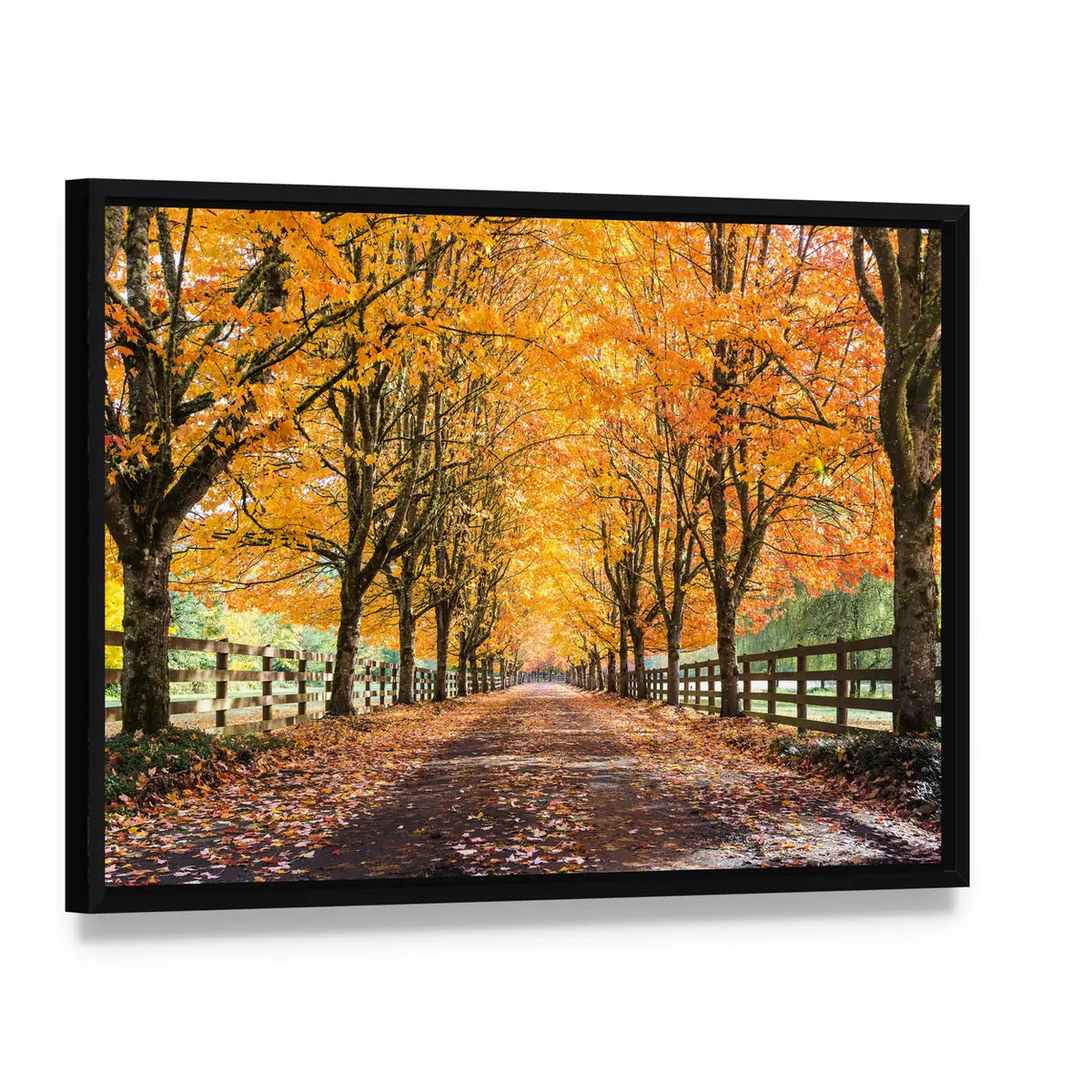 Autumn Tree Tunnel with Golden Leaves Canvas Wall Art, framed canvas in a black floater frame, angled product view