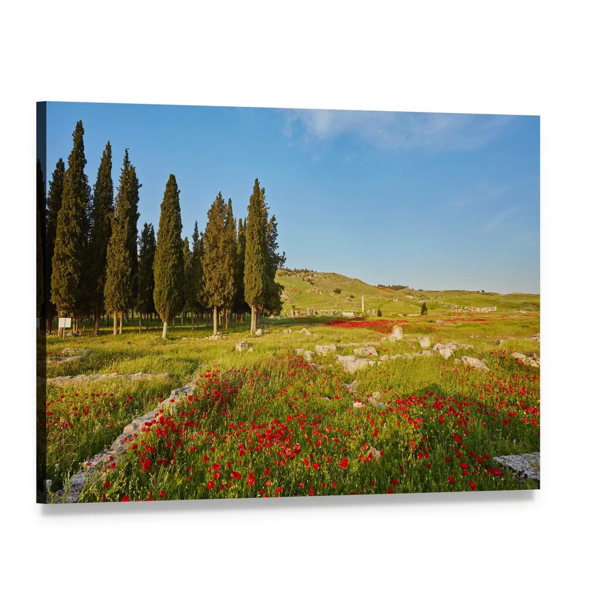 Ancient City Ruins in Turkey with Cypress and Poppies Canvas Wall Art, single panel gallery wrapped canvas, angled product view