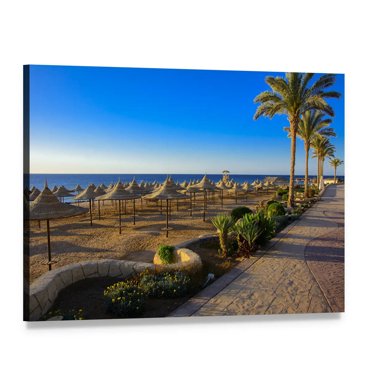 Umbrellas on Sandy Beach Canvas Wall Art, single panel gallery wrapped canvas, angled product view