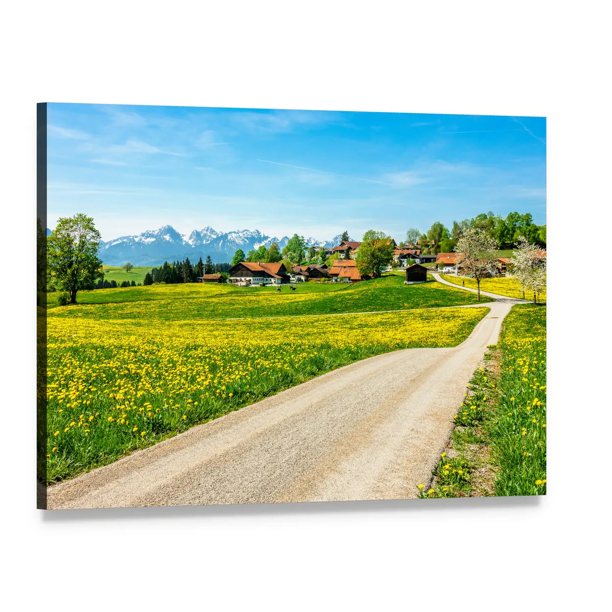 Alpine Road Through Wildflower Fields Canvas Wall Art, single panel gallery wrapped canvas, angled product view