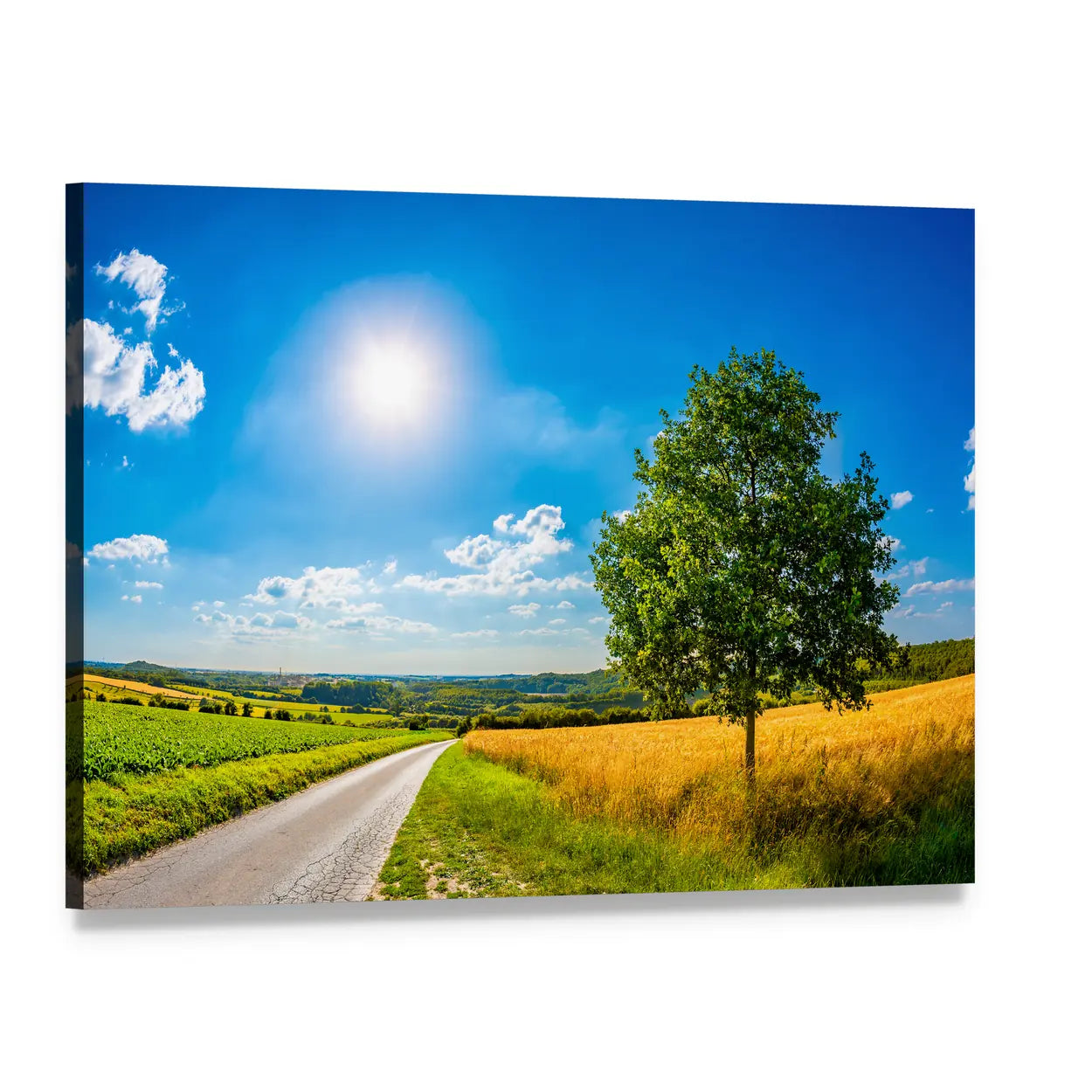 Sun Over Cornfield Canvas Wall Art, single panel gallery wrapped canvas, angled product view