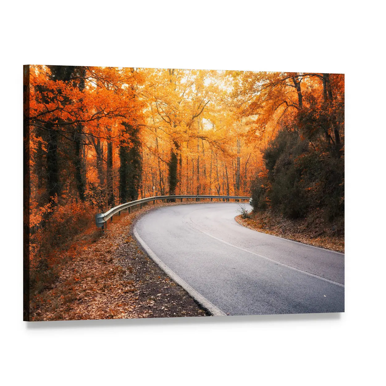 Winding Asphalt Road Through Autumn Trees Canvas Wall Art, single panel gallery wrapped canvas, angled product view
