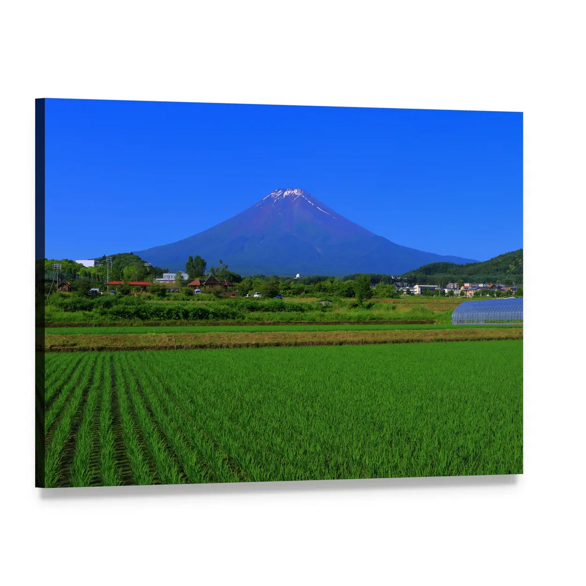 Mt Fuji Over Green Fields Canvas Wall Art, single panel gallery wrapped canvas, angled product view