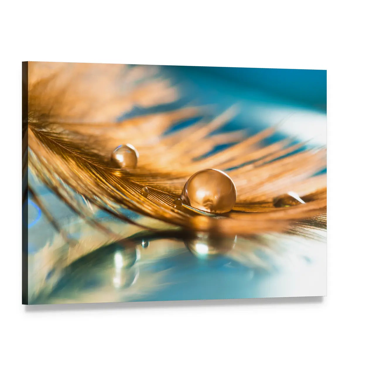 Golden Feather Of A Bird Abstract Canvas Wall Art, single panel gallery wrapped canvas, angled product view
