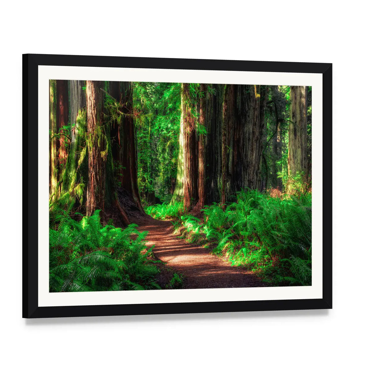 Scenic Redwood Forest Path Canvas Wall Art, framed print with white mat and black frame, angled product view