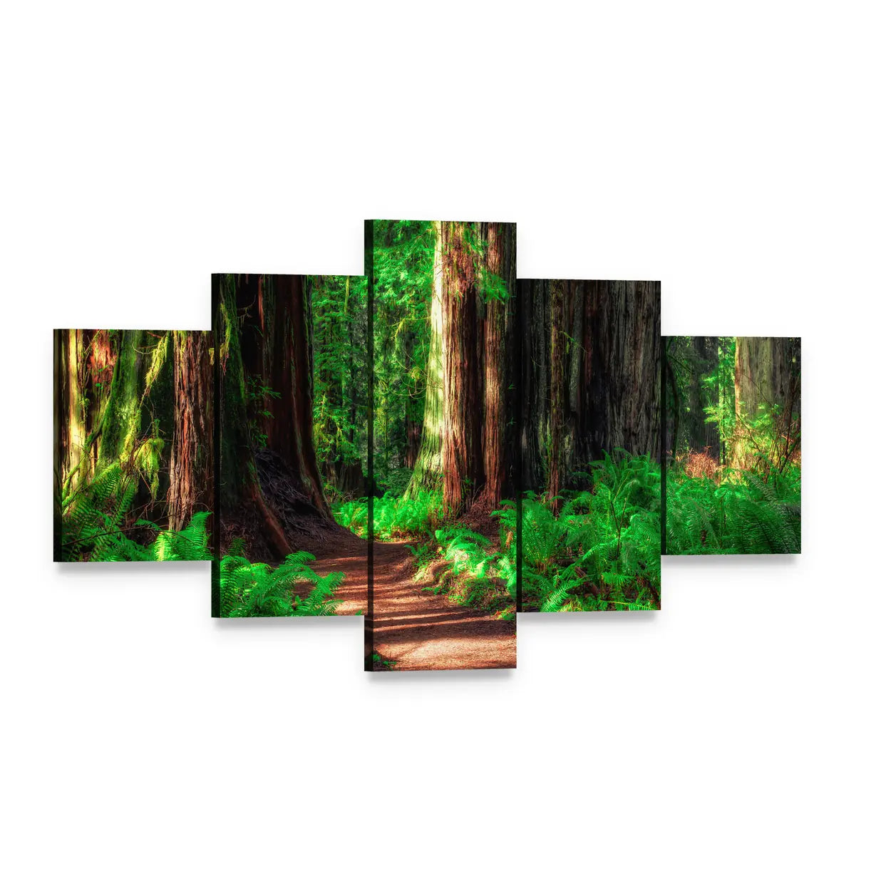 Scenic Redwood Forest Path Canvas Wall Art, 5 panel 5 Star layout gallery wrapped canvas set, angled product view