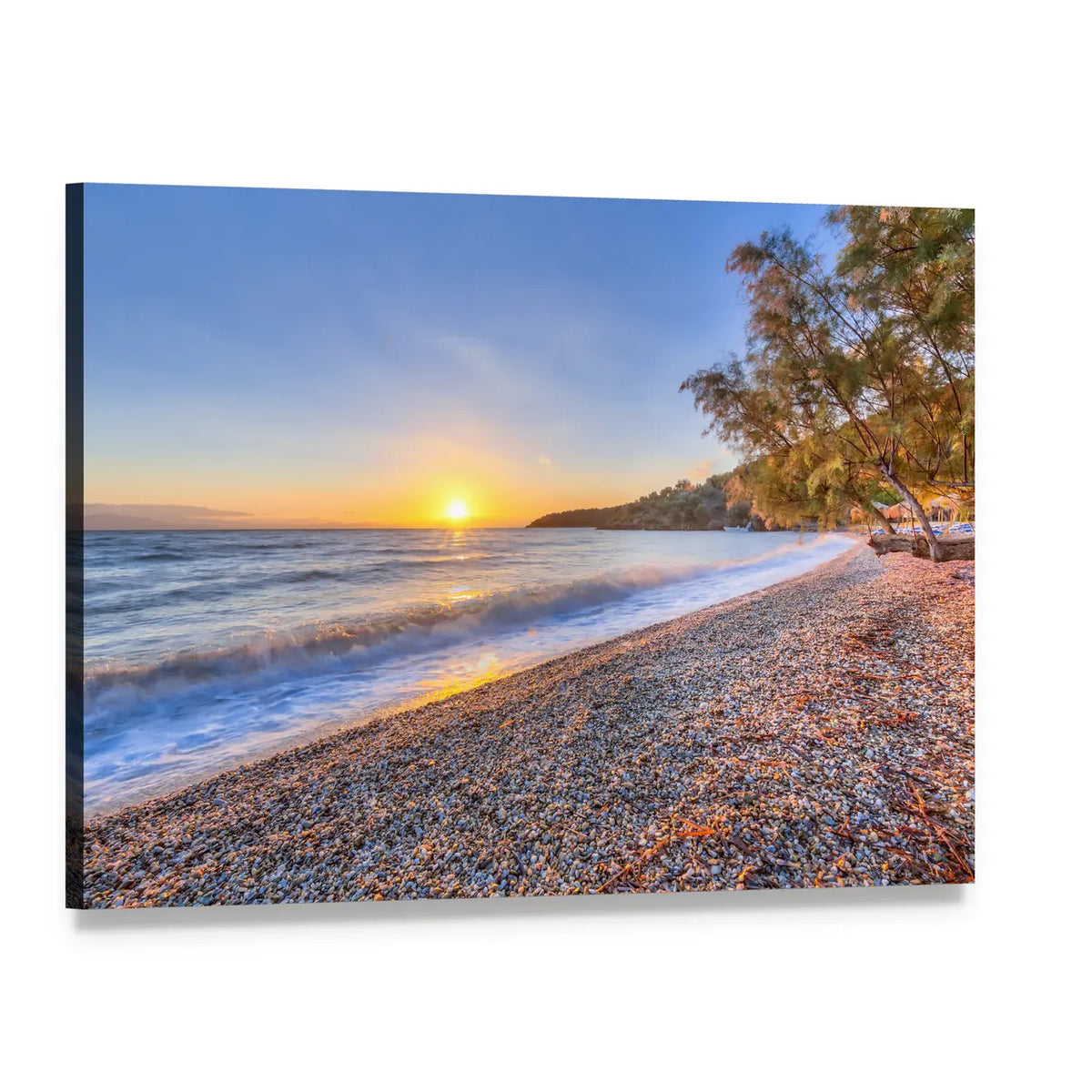 Tamarisk Tree Near Pebble Beach Canvas Wall Art, single panel gallery wrapped canvas, angled product view