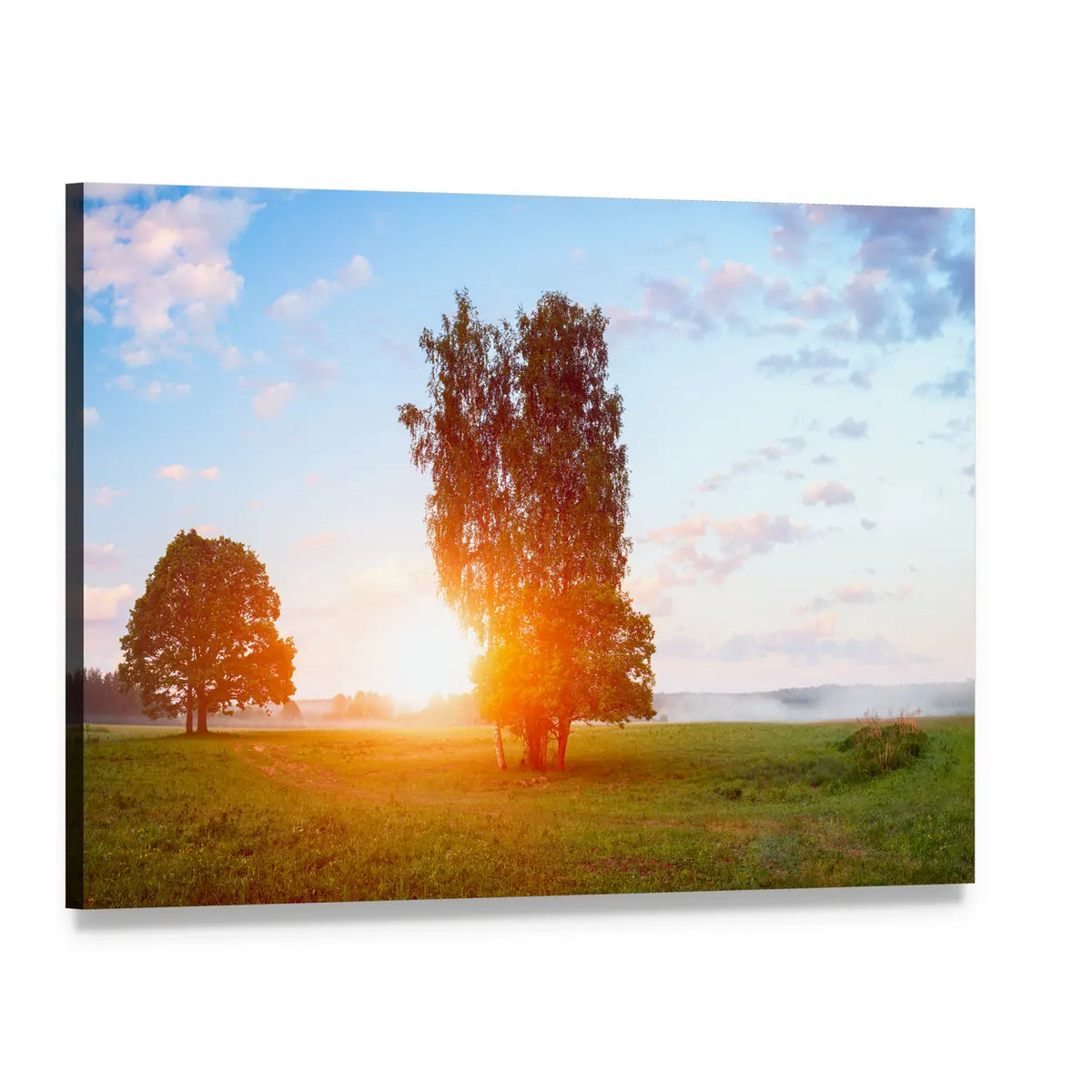 Sunset Behind Tree in Summer Field Canvas Wall Art, single panel gallery wrapped canvas, angled product view