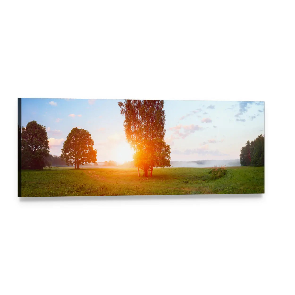Sunlit Tree at Summer Sunrise Panoramic Canvas Wall Art, single panel gallery wrapped canvas, angled product view