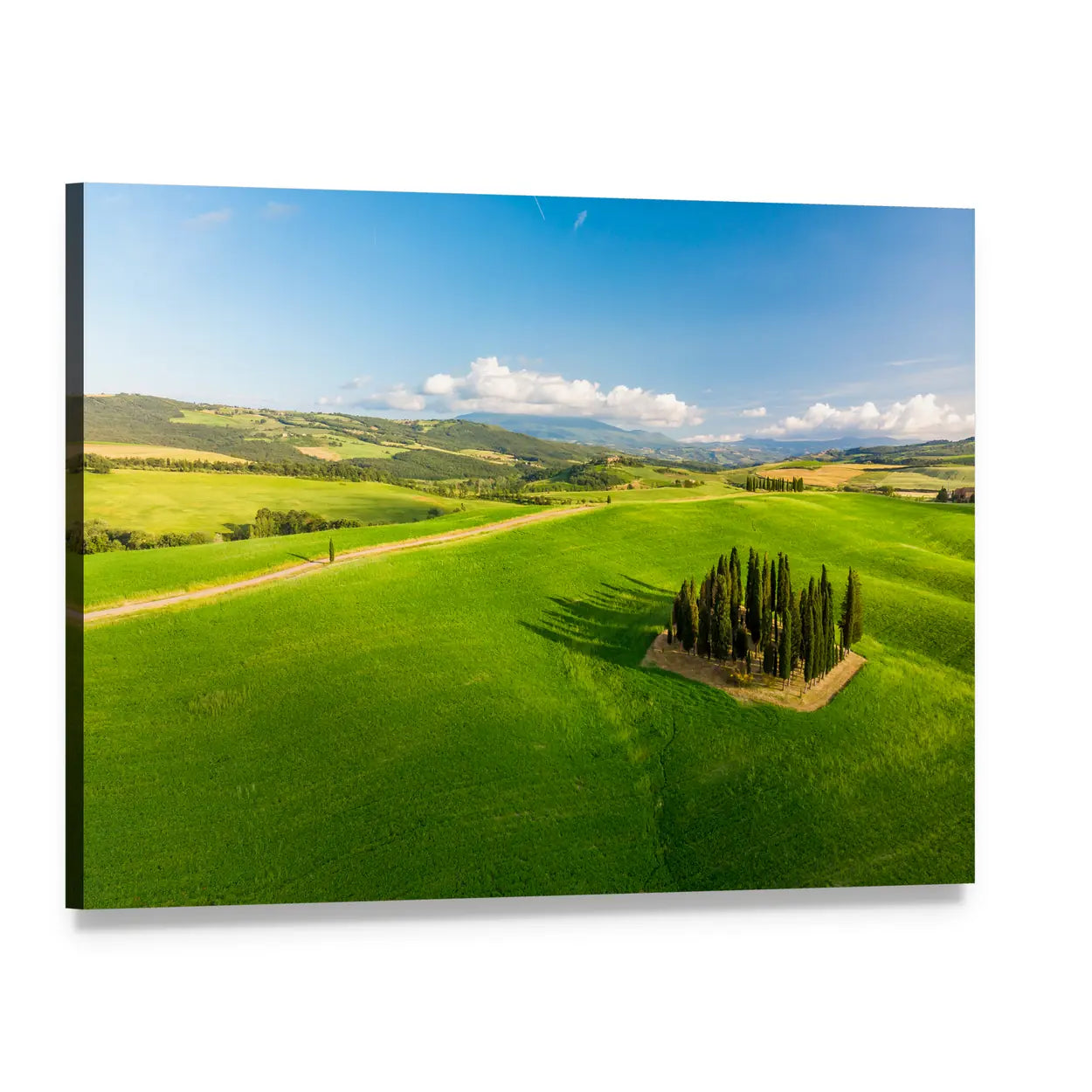 Tuscany Cypresses in Rolling Hills Canvas Wall Art, single panel gallery wrapped canvas, angled product view