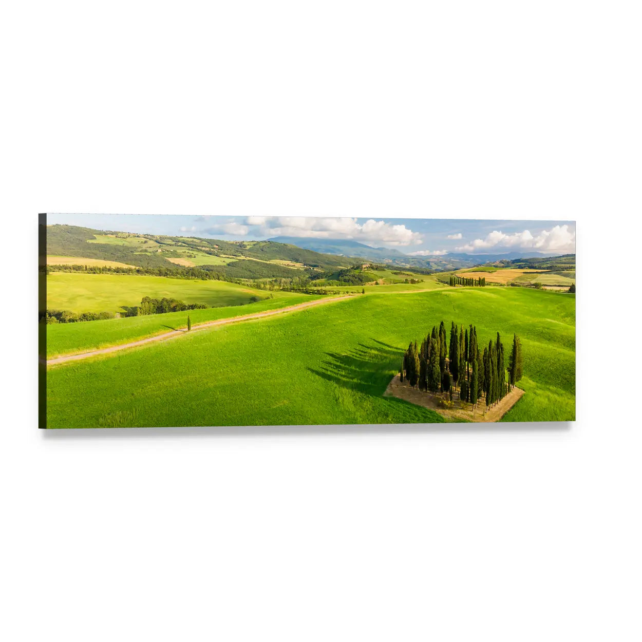 Italian Cypresses in Tuscany Panoramic Canvas Wall Art, single panel gallery wrapped canvas, angled product view