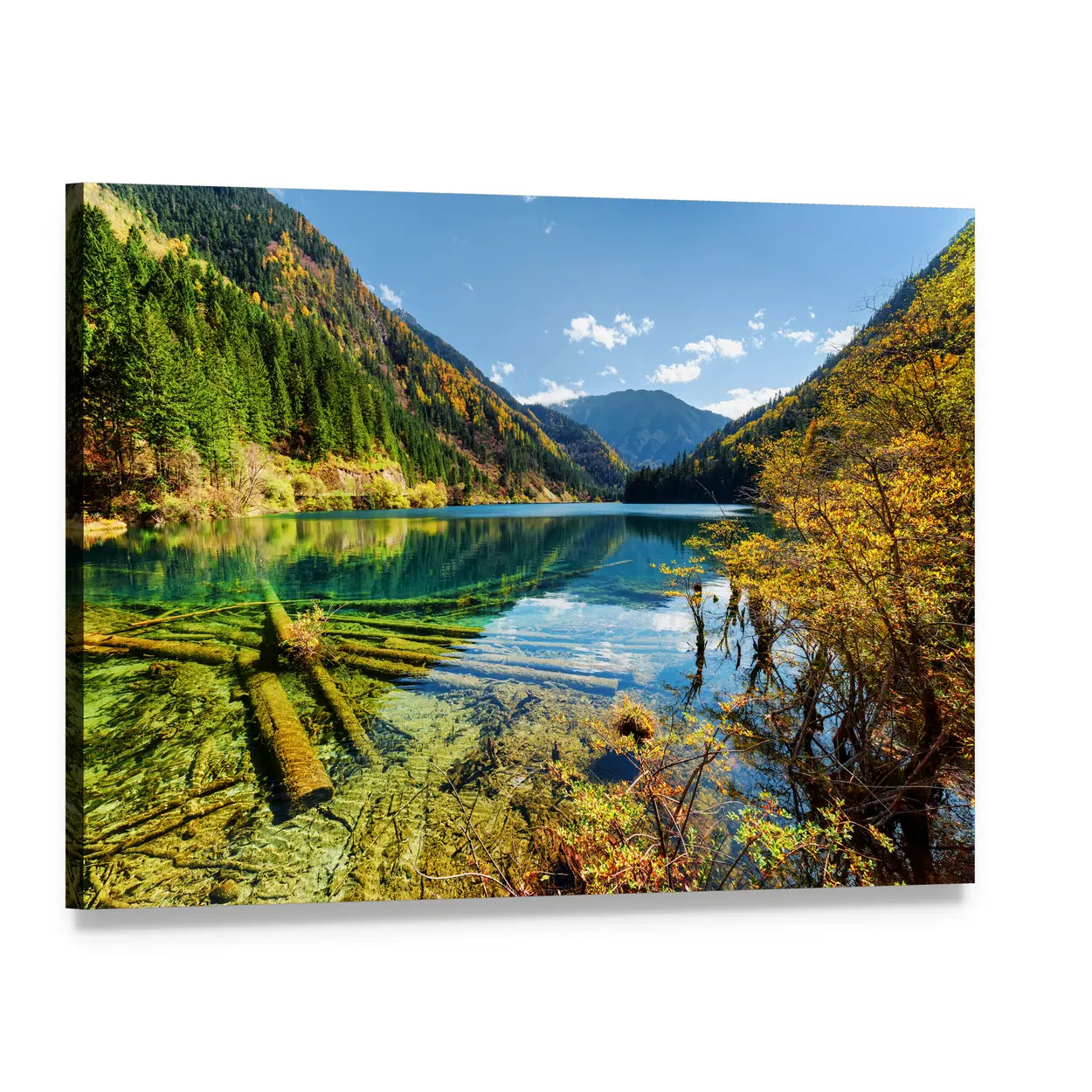 Arrow Bamboo Lake View Canvas Wall Art, single panel gallery wrapped canvas, angled product view