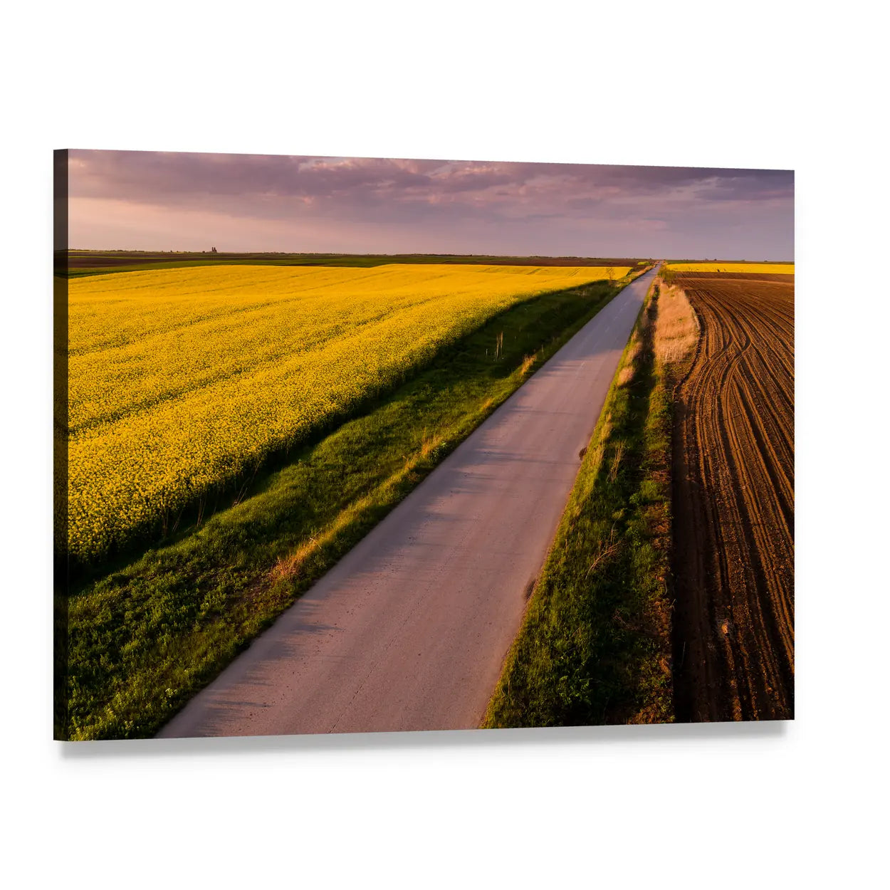 Aerial View of Canola Field and Country Road Canvas Wall Art, single panel gallery wrapped canvas, angled product view