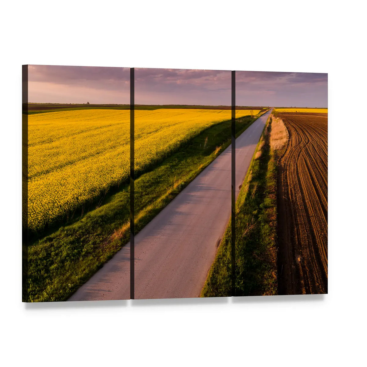 Aerial View of Canola Field and Country Road Canvas Wall Art, 3 panel 3 Horizontal layout gallery wrapped canvas set, angled product view