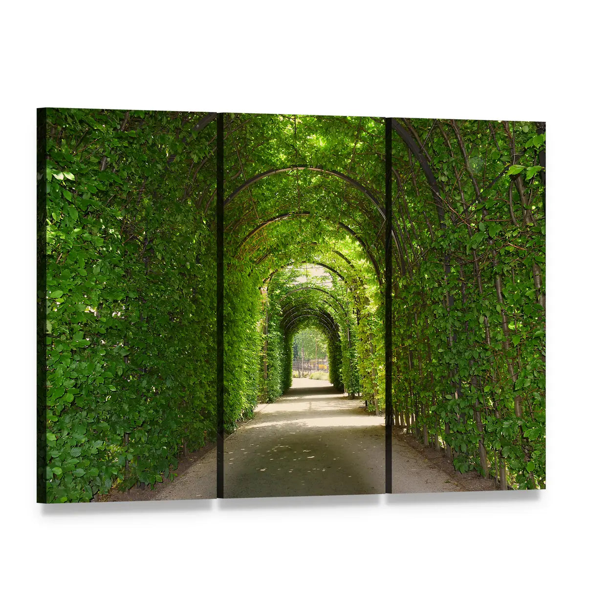 Green Tunnel of Trees Canvas Wall Art, 3 panel 3 Horizontal layout gallery wrapped canvas set, angled product view