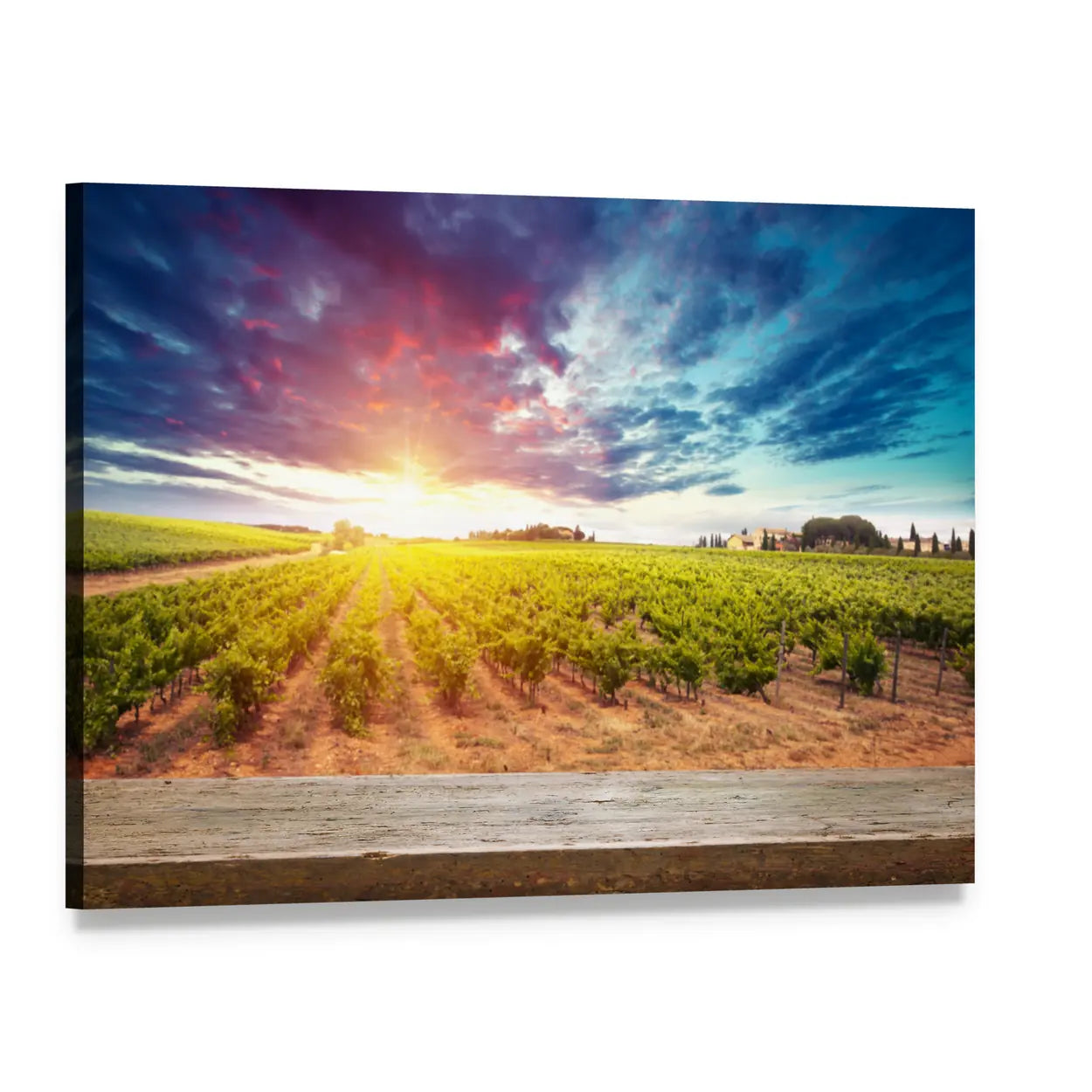 Tuscan Field at Sunset Canvas Wall Art, single panel gallery wrapped canvas, angled product view
