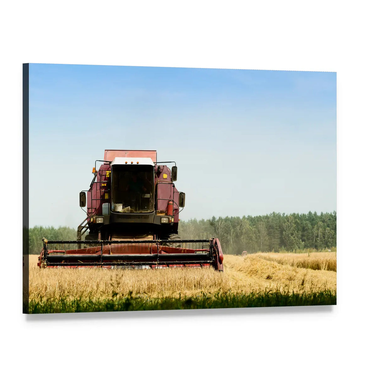 Red Combine Harvester in Wheat Field Canvas Wall Art, single panel gallery wrapped canvas, angled product view