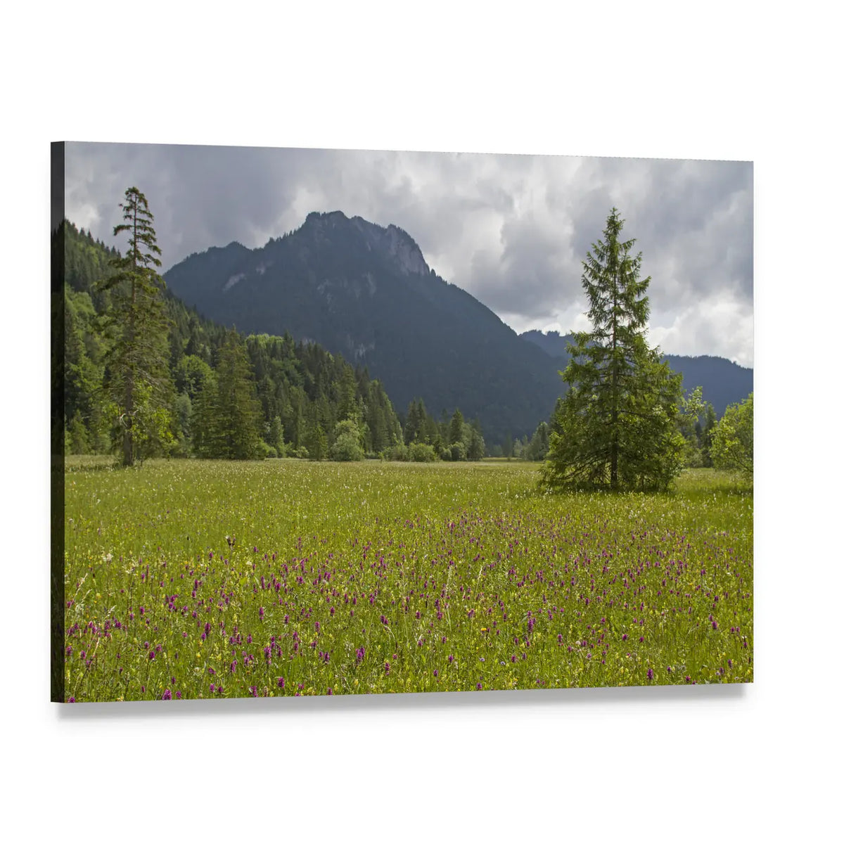 Summer Meadow with Mountain Canvas Wall Art, single panel gallery wrapped canvas, angled product view