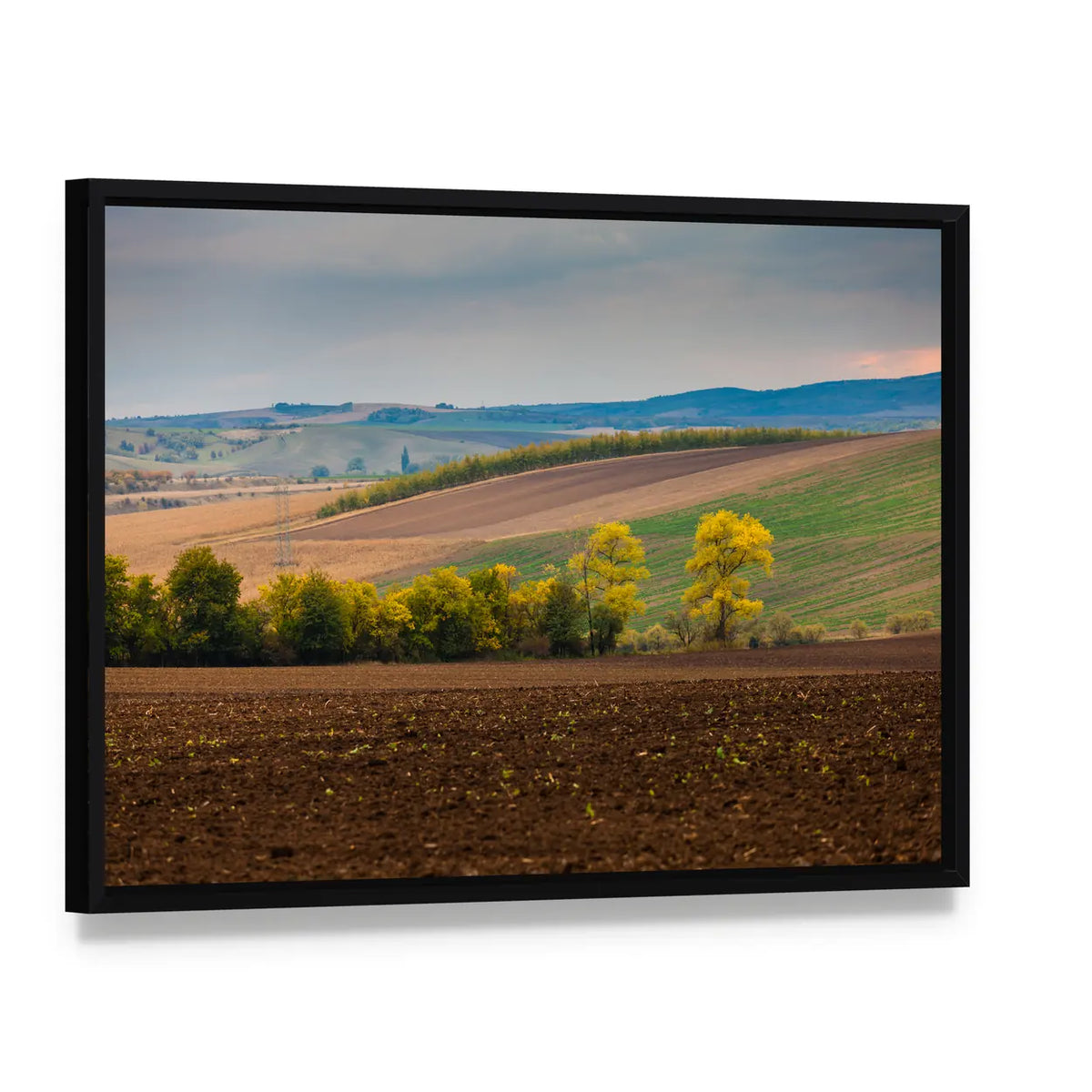 Farm Landscape with Plowed Field Canvas Wall Art, framed canvas in a black floater frame, angled product view