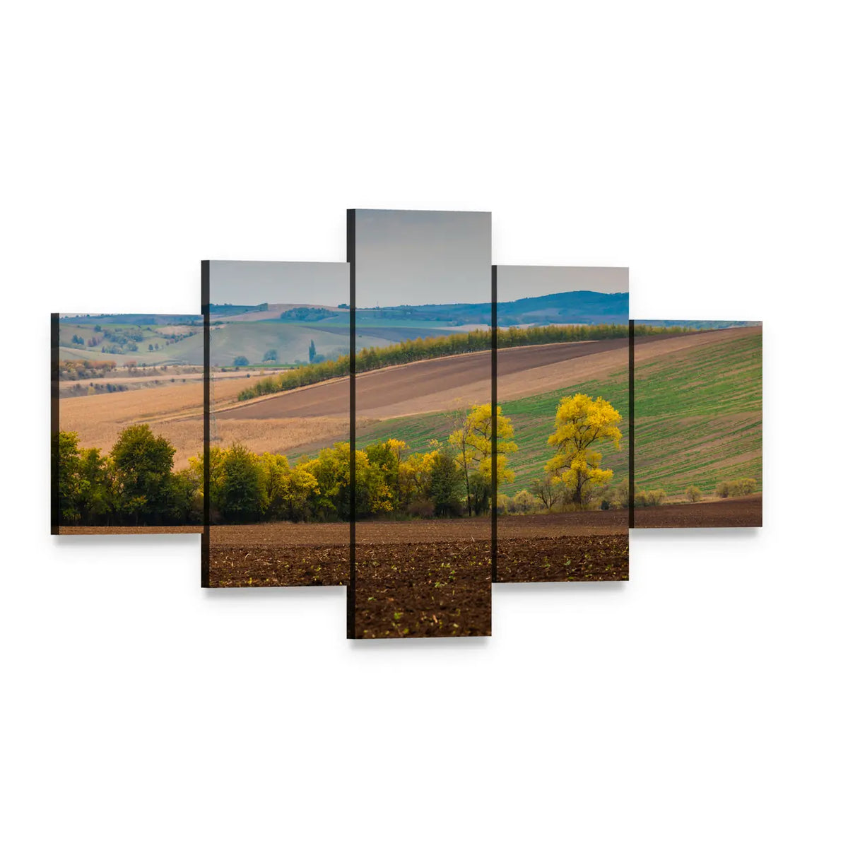 Farm Landscape with Plowed Field Canvas Wall Art, 5 panel 5 Star layout gallery wrapped canvas set, angled product view