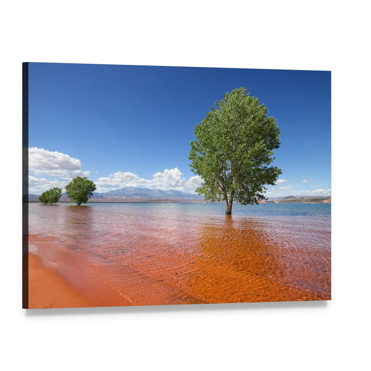 Trees in the Water Sand Hollow State Park Canvas Wall Art, single panel gallery wrapped canvas, angled product view