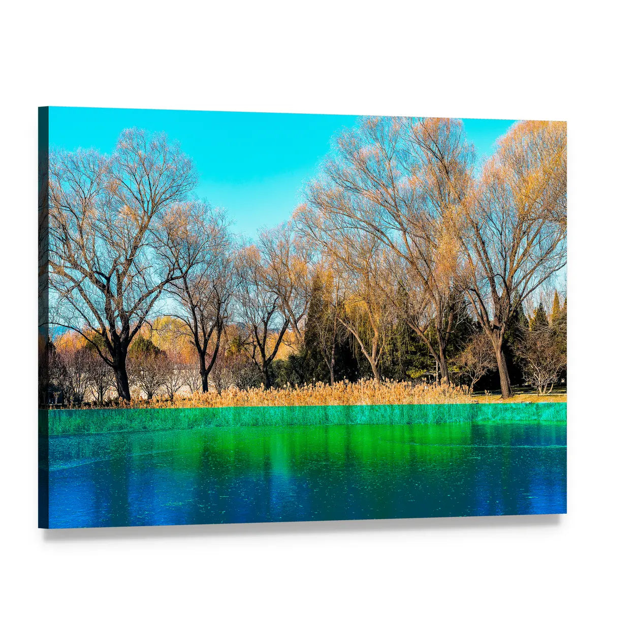 Autumn Trees by the Lake Canvas Wall Art, single panel gallery wrapped canvas, angled product view