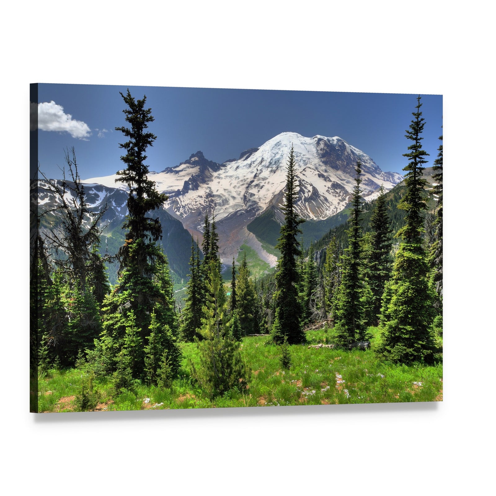 Mt Rainier from Pine Forest Canvas Wall Art, single panel gallery wrapped canvas, angled product view