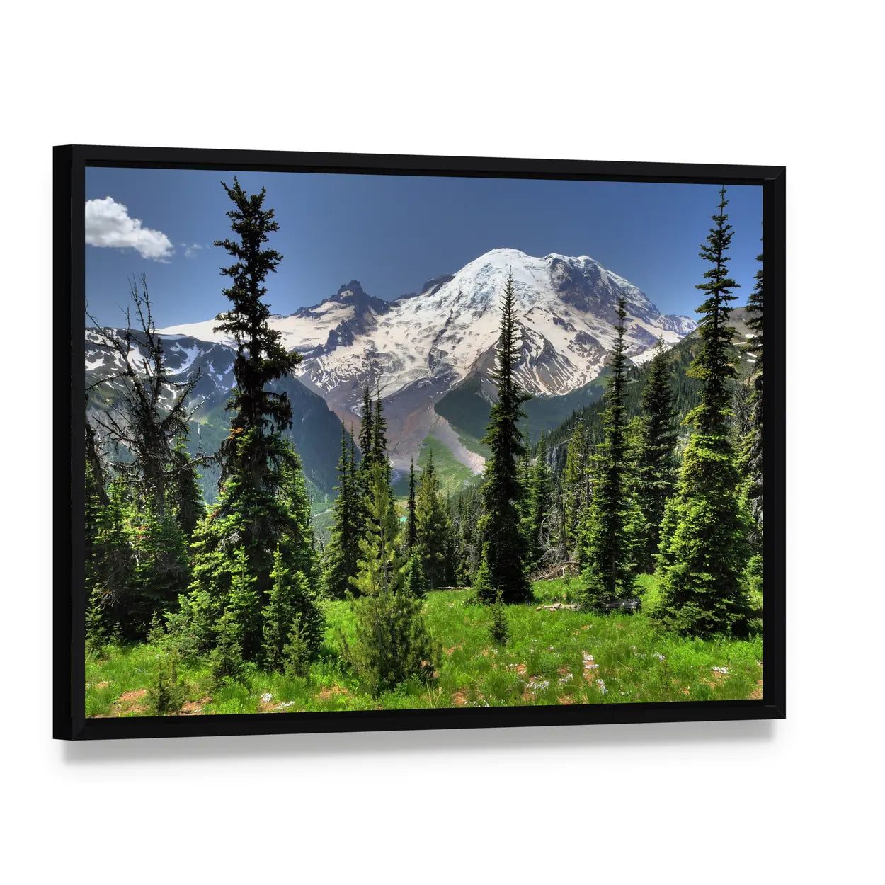 Mt Rainier and Pine Trees Canvas Wall Art, framed canvas in a black floater frame, angled product view