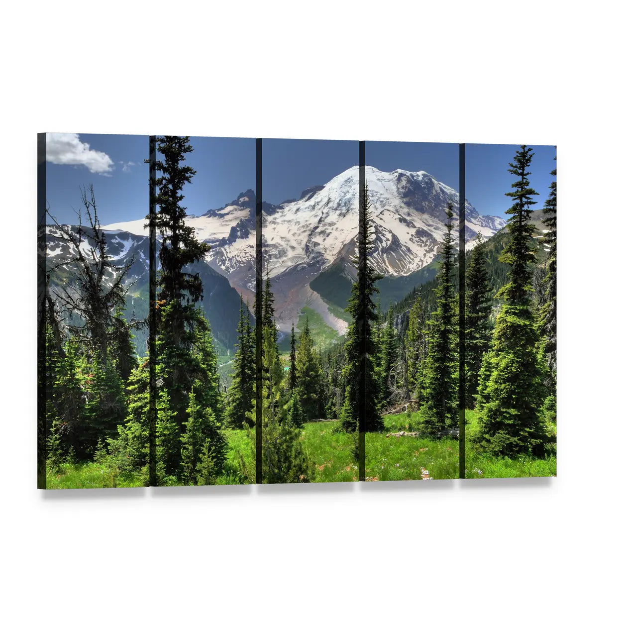 Mt Rainier and Pine Trees Canvas Wall Art, 5 panel 5 Horizontal layout gallery wrapped canvas set, angled product view