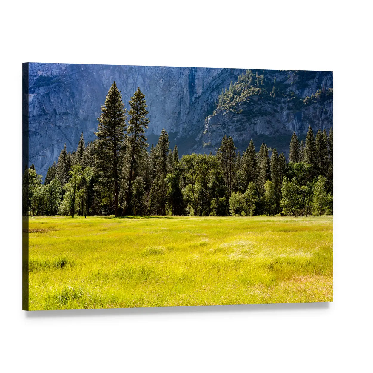 Spring Meadow at Yosemite National Park Canvas Wall Art, single panel gallery wrapped canvas, angled product view